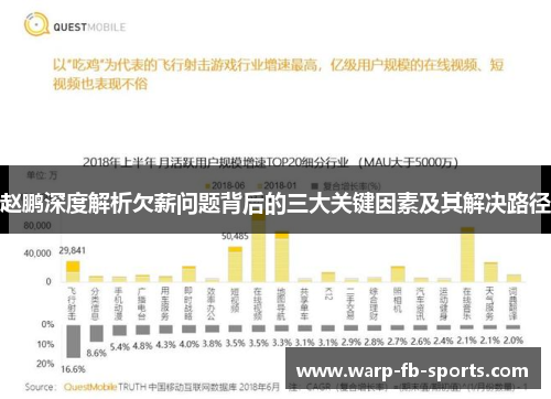 赵鹏深度解析欠薪问题背后的三大关键因素及其解决路径 赵鹏深度解析欠薪问题背后的三大关键因素及其解决路径